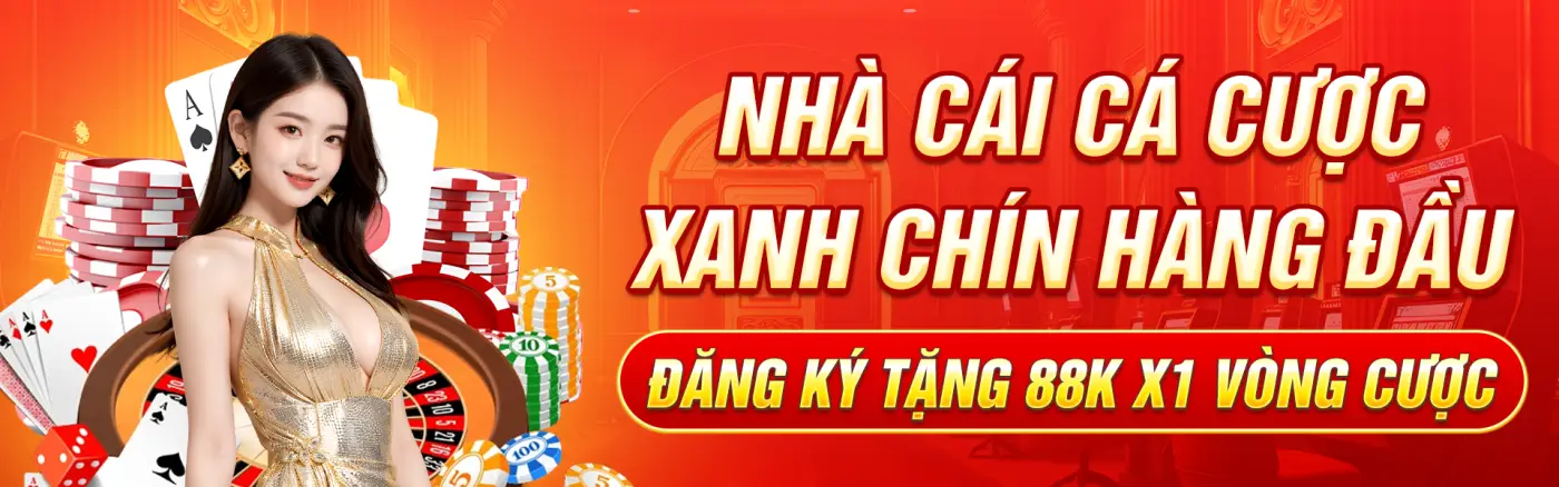 banner bsport city