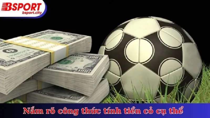 Nắm rõ công thức tính tiền cỏ cụ thể